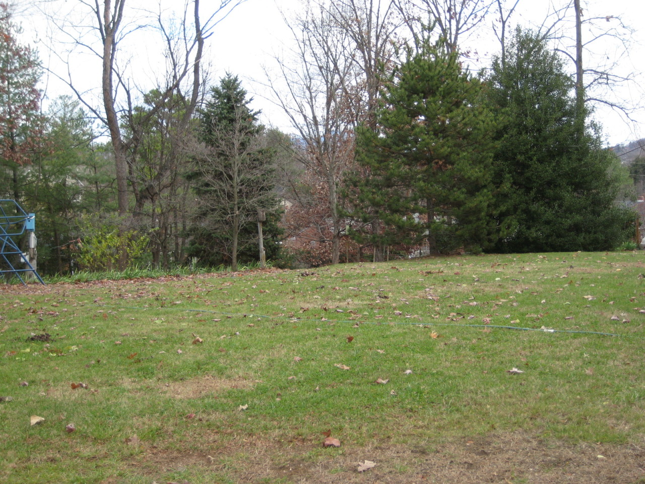 1135 Clearfield Road Southwest Roanoke, VA 24015 - Photo 10 of 12 Rear Yard