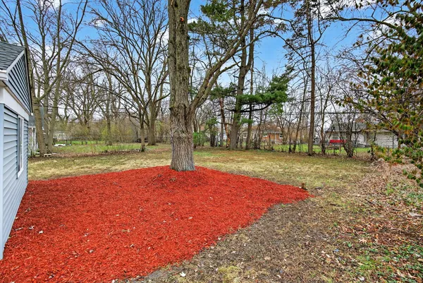 a view of yard with tree