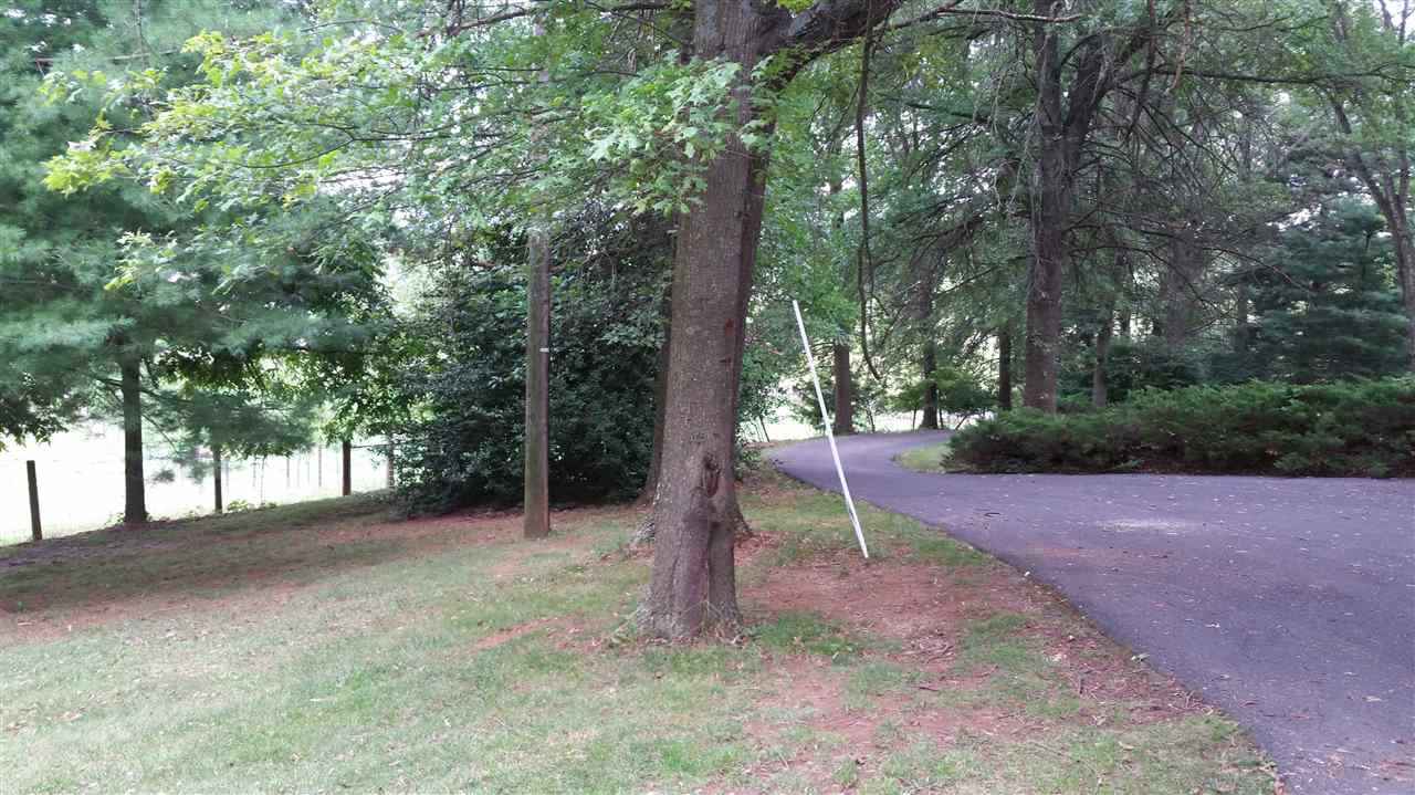 145 Free Mason Run Road Mount Solon, VA 22843 - Photo 26 of 37 a backyard of a house with plants and large trees
