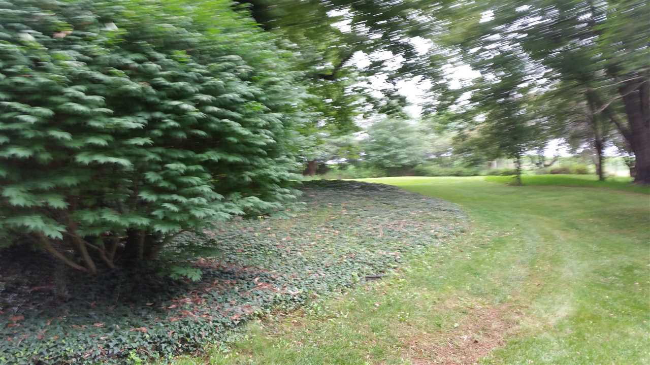 145 Free Mason Run Road Mount Solon, VA 22843 - Photo 30 of 37 a view of yard with trees