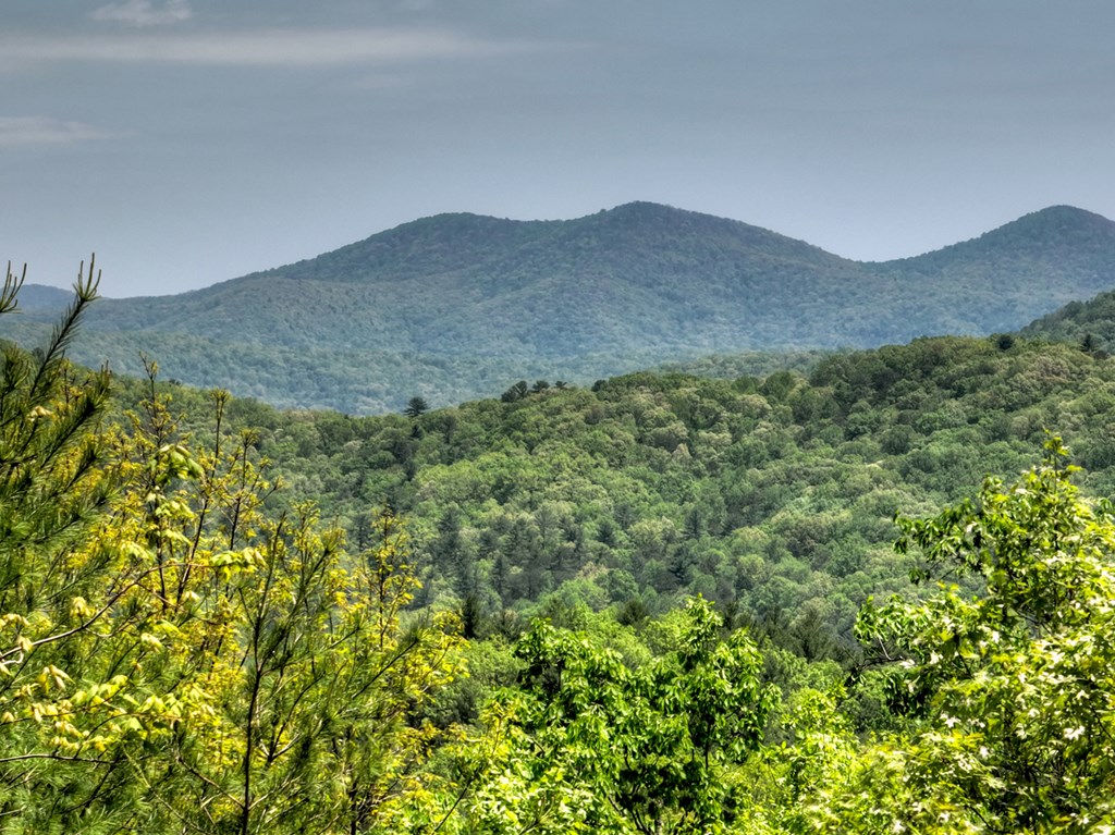 46 Cochise Road Cherry Log, GA 30522 - Photo 55 of 63
