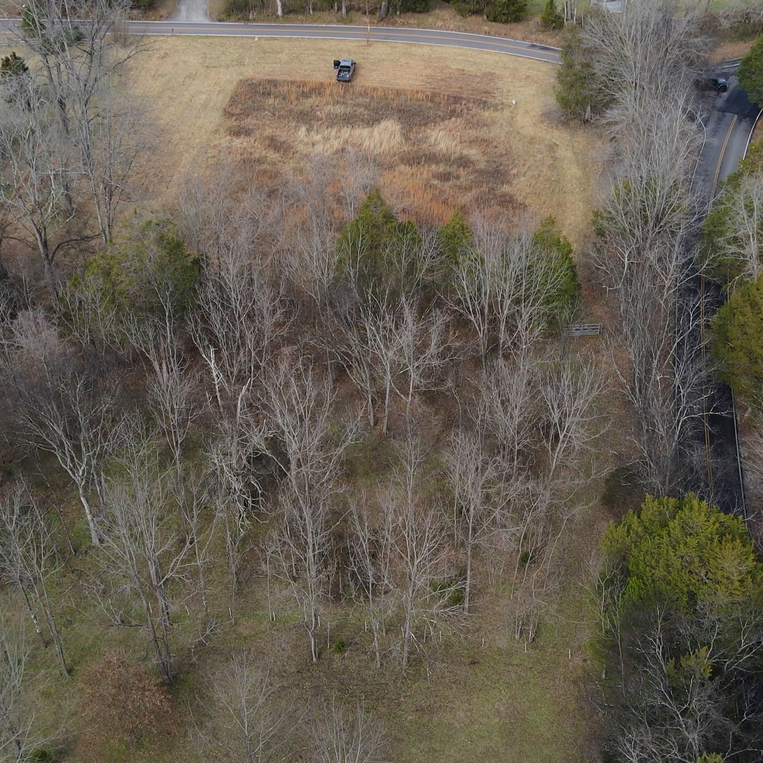0 Nails Creek Road Dickson, TN 37055 - Photo 2 of 6