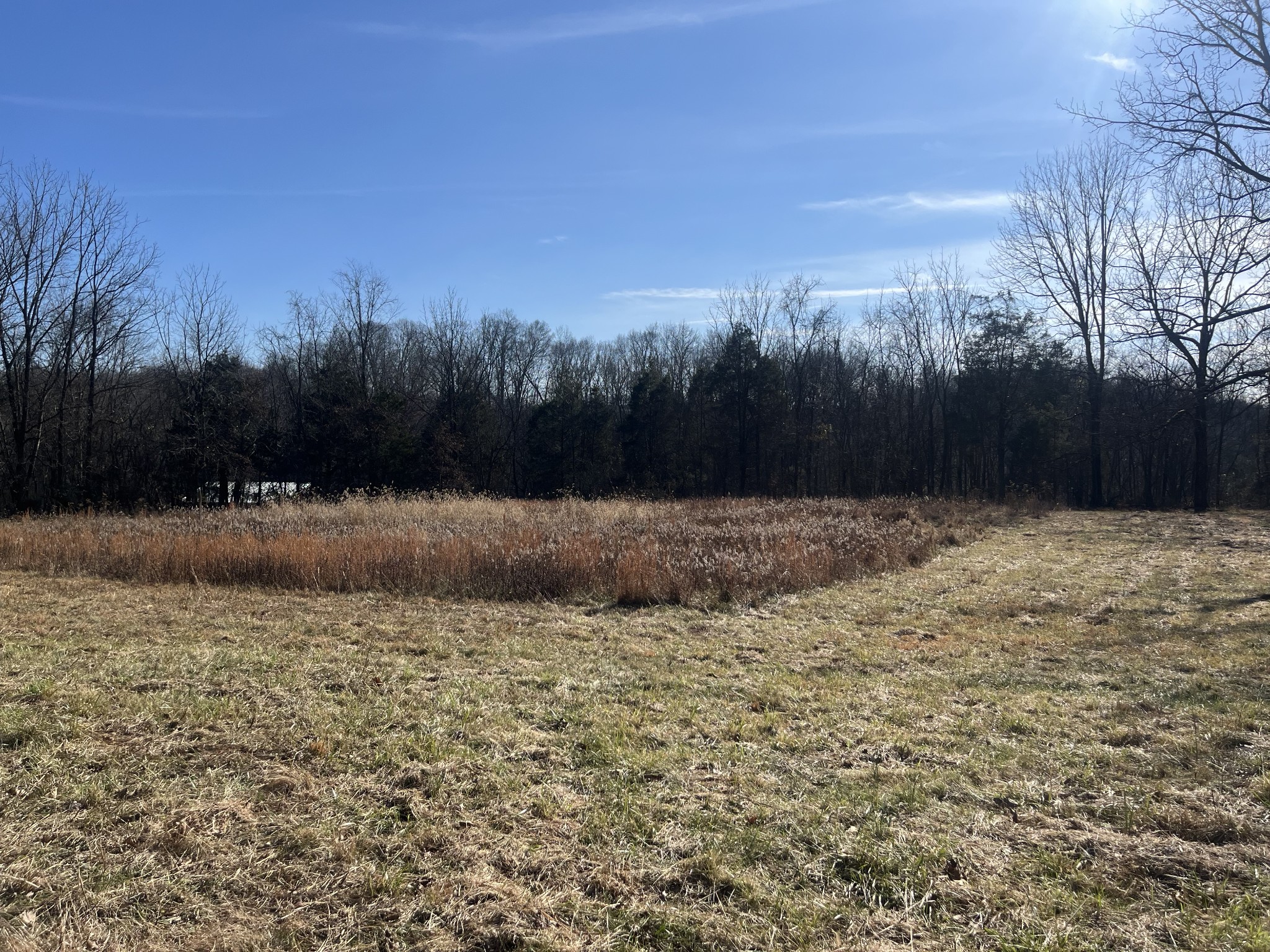 0 Nails Creek Road Dickson, TN 37055 - Photo 4 of 6