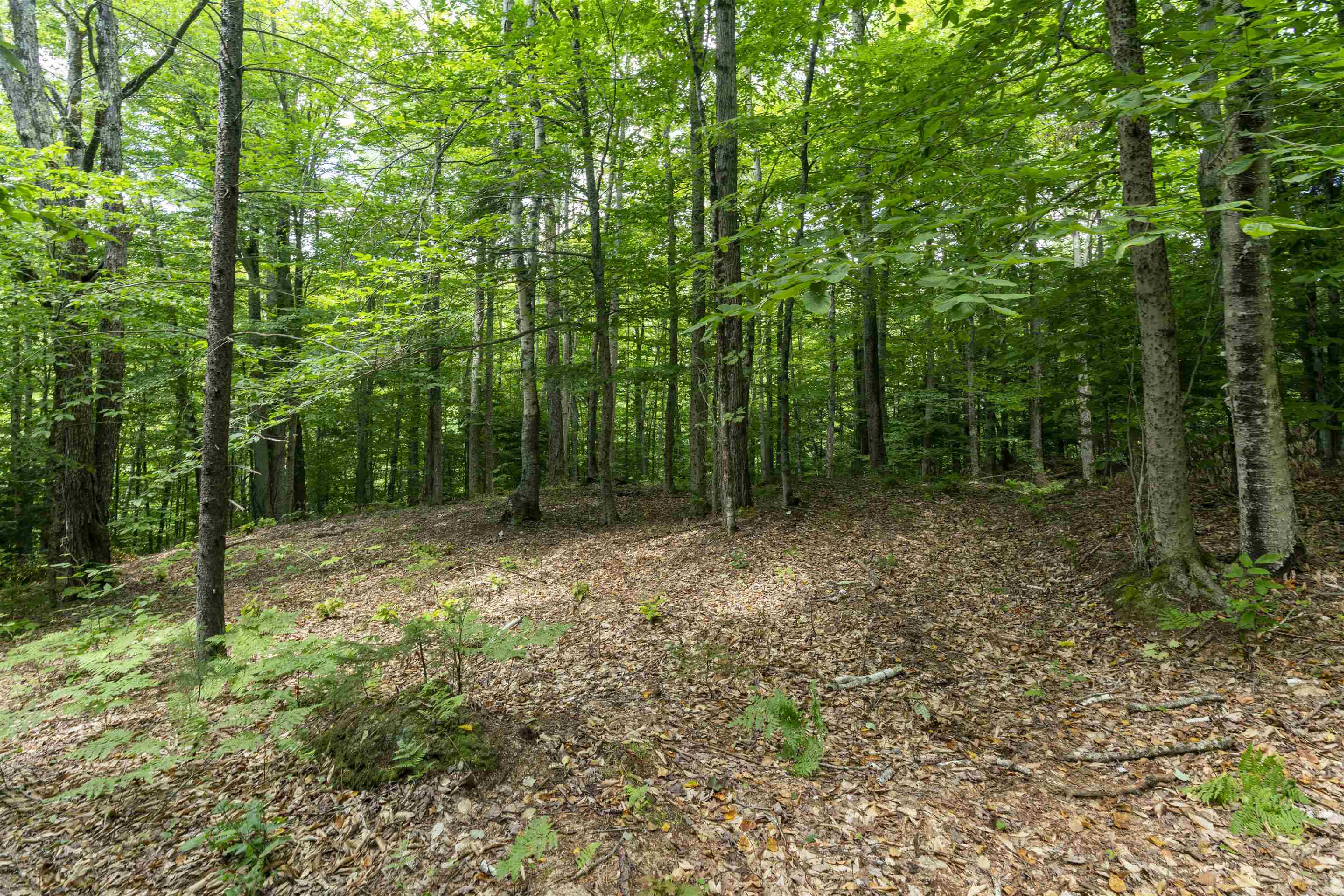 Tbd Taylor Road, Unit 9 Waterbury, VT 05676 - Photo 11 of 12