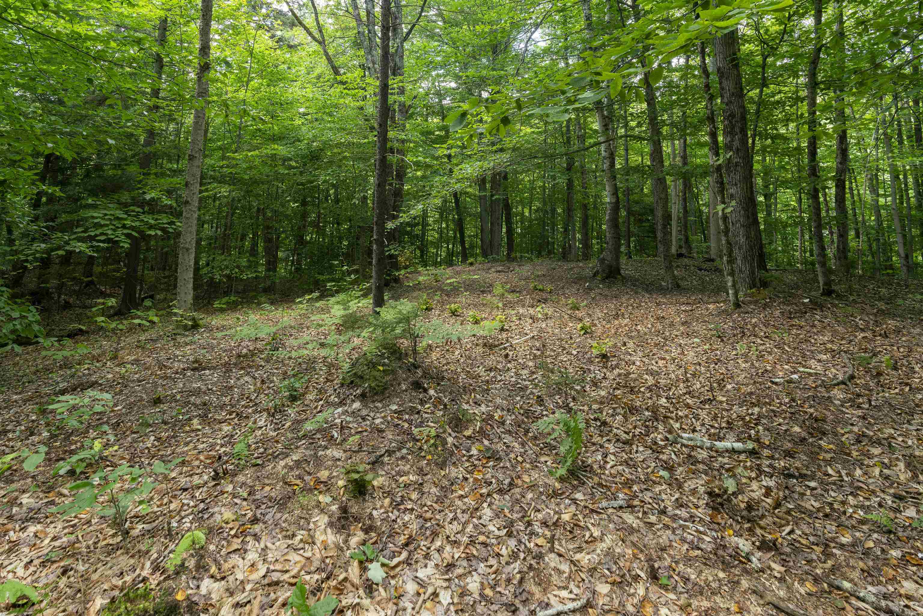 Tbd Taylor Road, Unit 9 Waterbury, VT 05676 - Photo 12 of 12