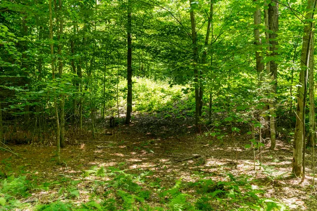 $125,000 | Tbd Taylor Road, Unit 9, Waterbury, VT 05676