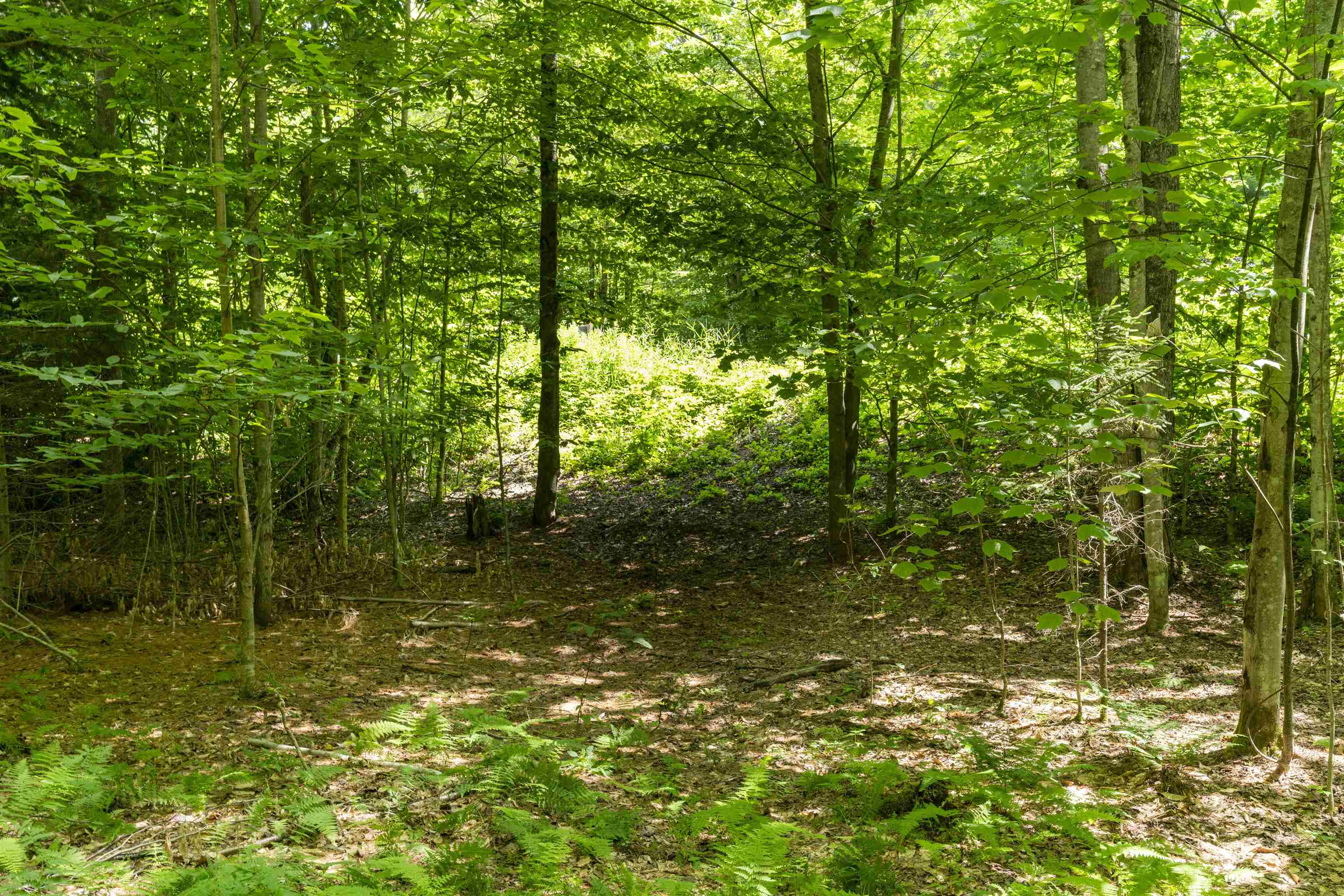 Tbd Taylor Road, Unit 9 Waterbury, VT 05676 - Photo 9 of 12