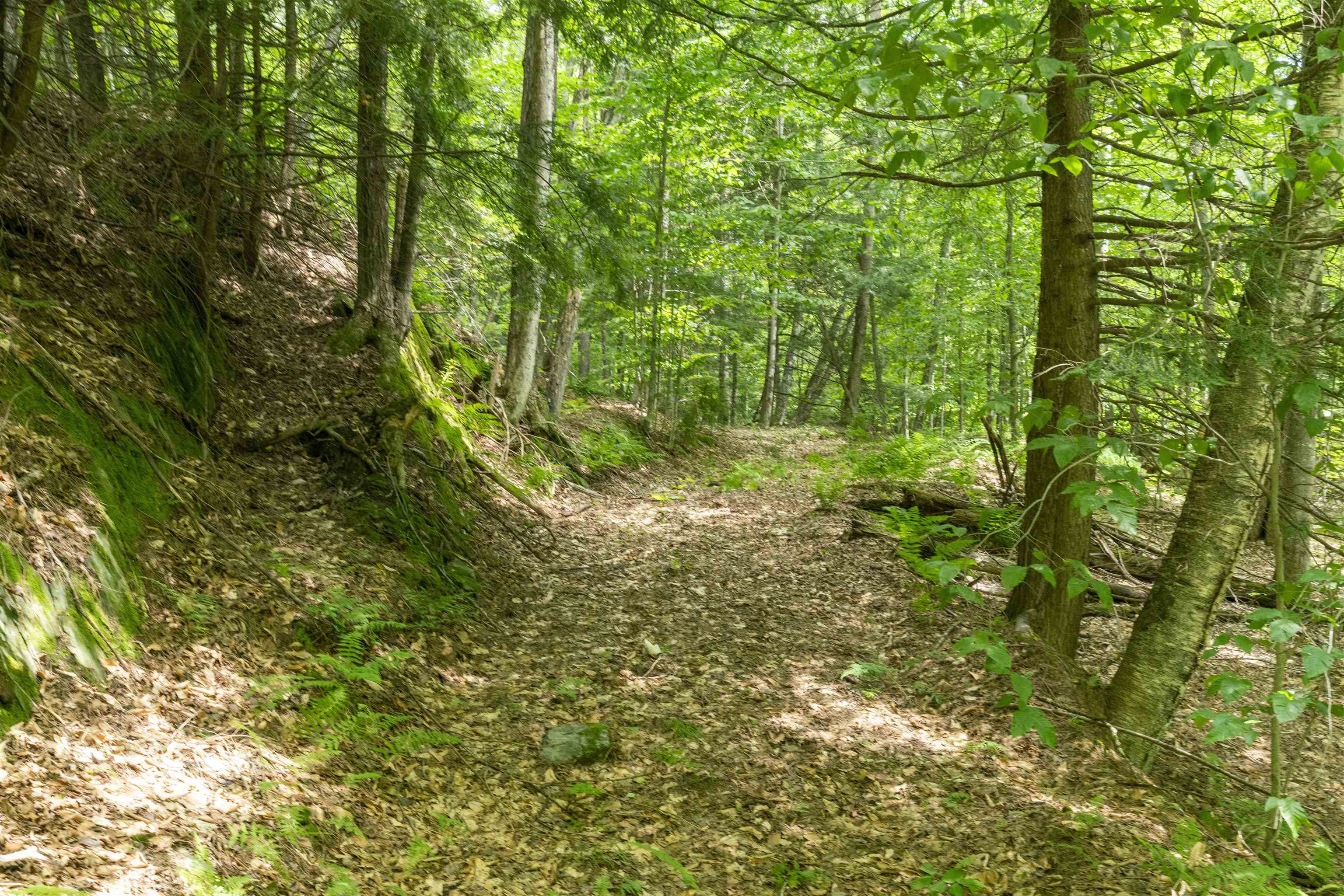 Tbd Taylor Road, Unit 9 Waterbury, VT 05676 - Photo 10 of 12