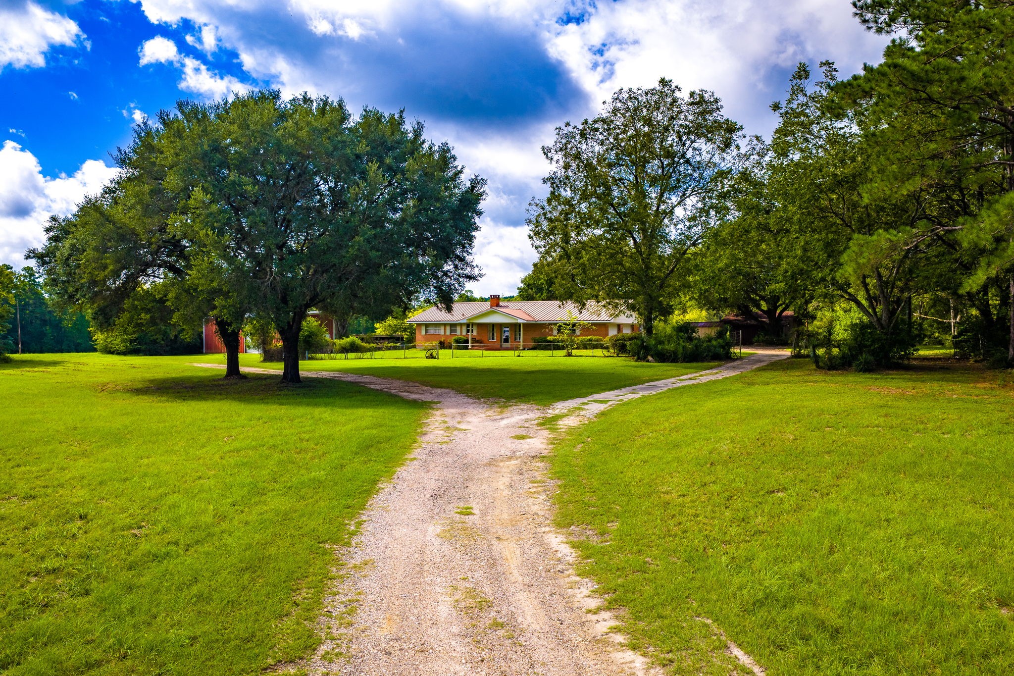 264 David Hon Road Livingston, TX 77351 - Photo 30 of 49 Driveway View