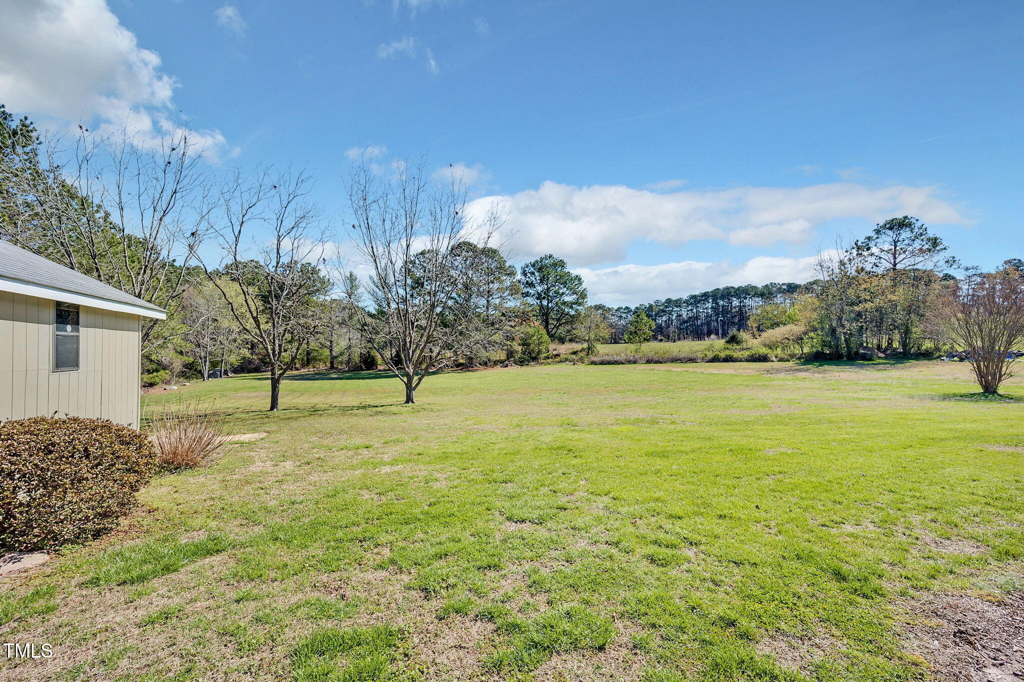 2728 Watkins Town Road Raleigh, NC 27616 - Photo 26 of 32 Backyard