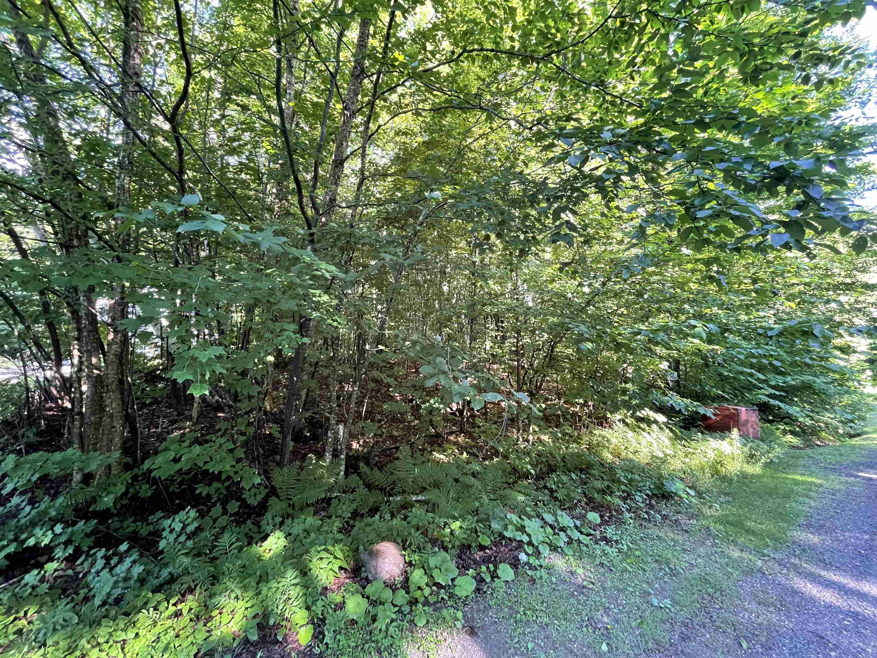 88 Lower Howe's Road Wilmington, VT 05363 - Photo 4 of 4 Gallery Image 4