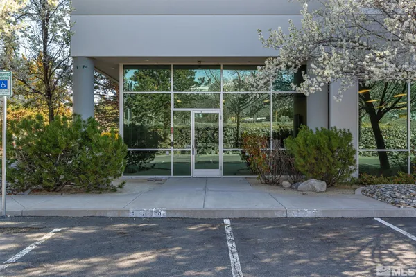a view of a garden with plants