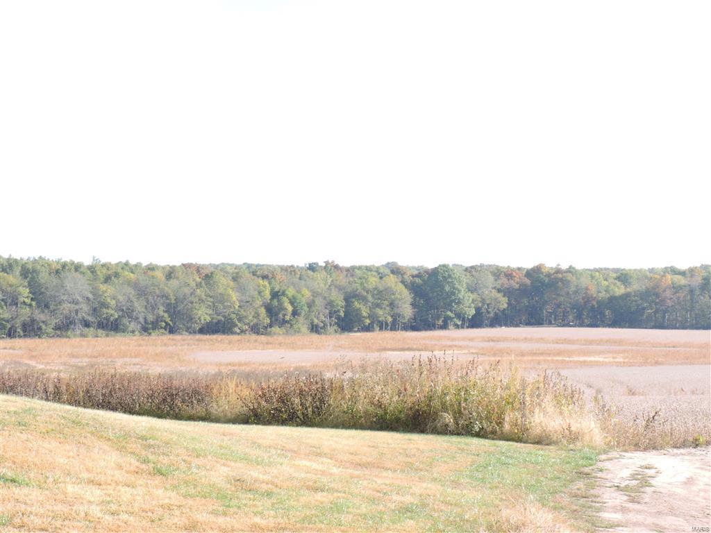 0 East Stein Road Vergennes, IL 62994 - Photo 1 of 18