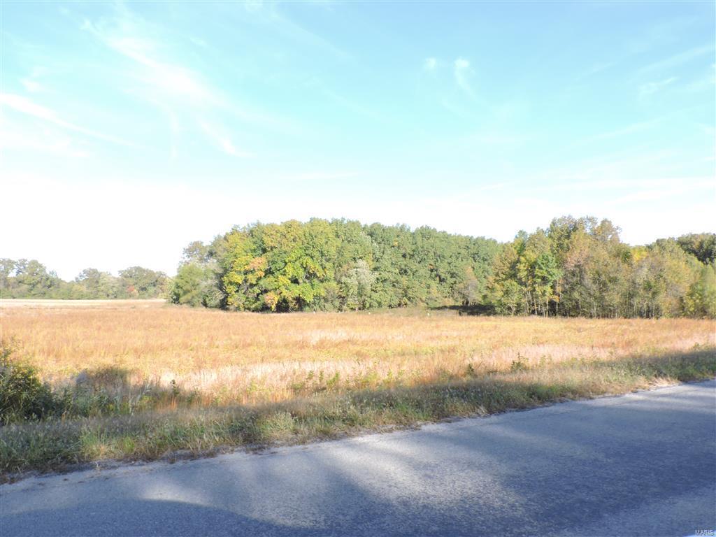 0 East Stein Road Vergennes, IL 62994 - Photo 2 of 18