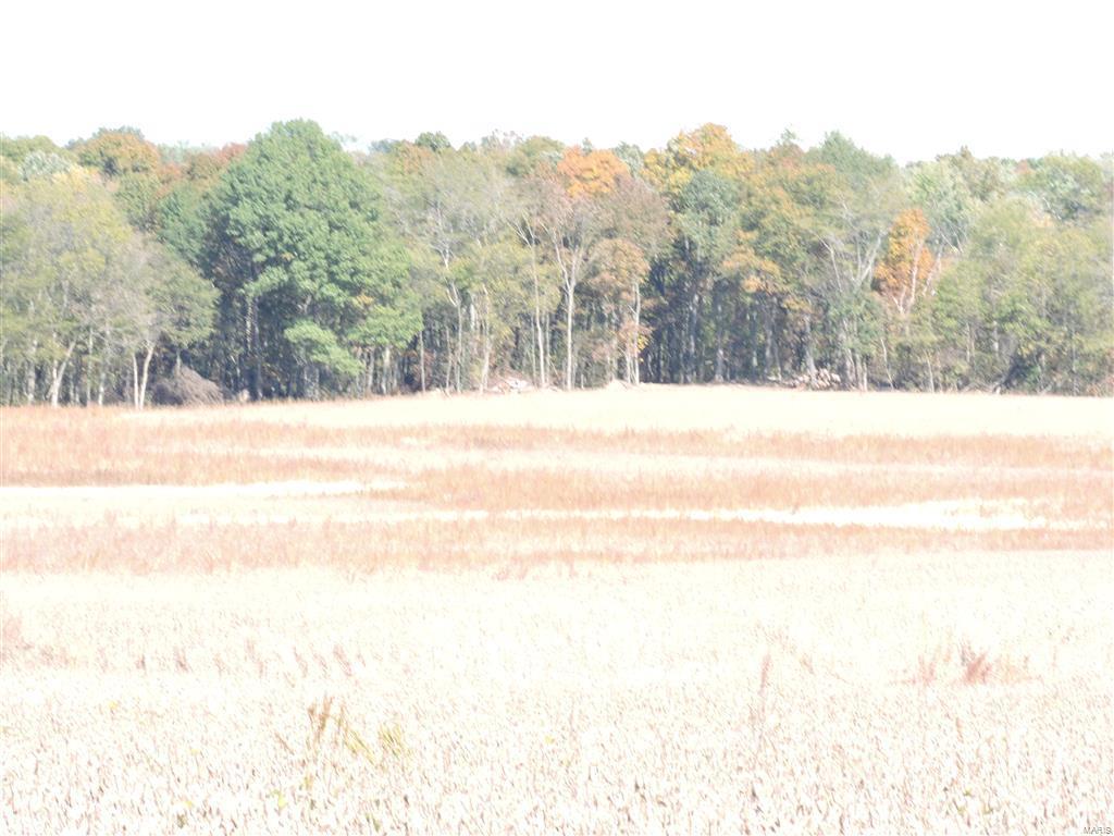 0 East Stein Road Vergennes, IL 62994 - Photo 12 of 18