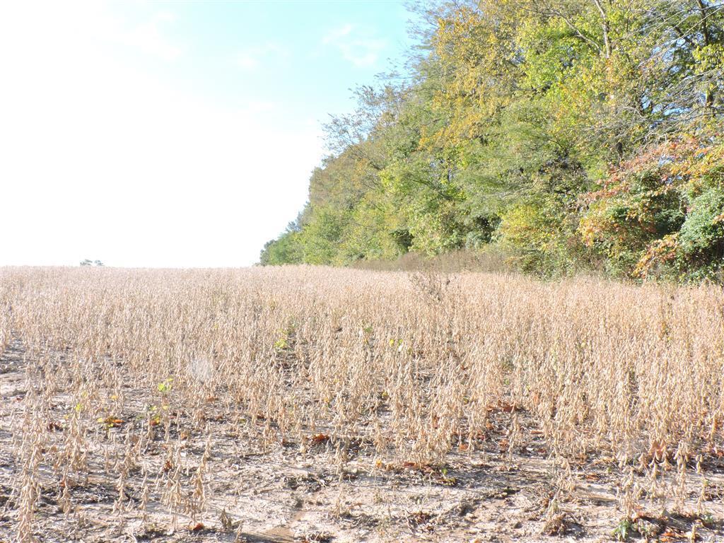 0 East Stein Road Vergennes, IL 62994 - Photo 13 of 18