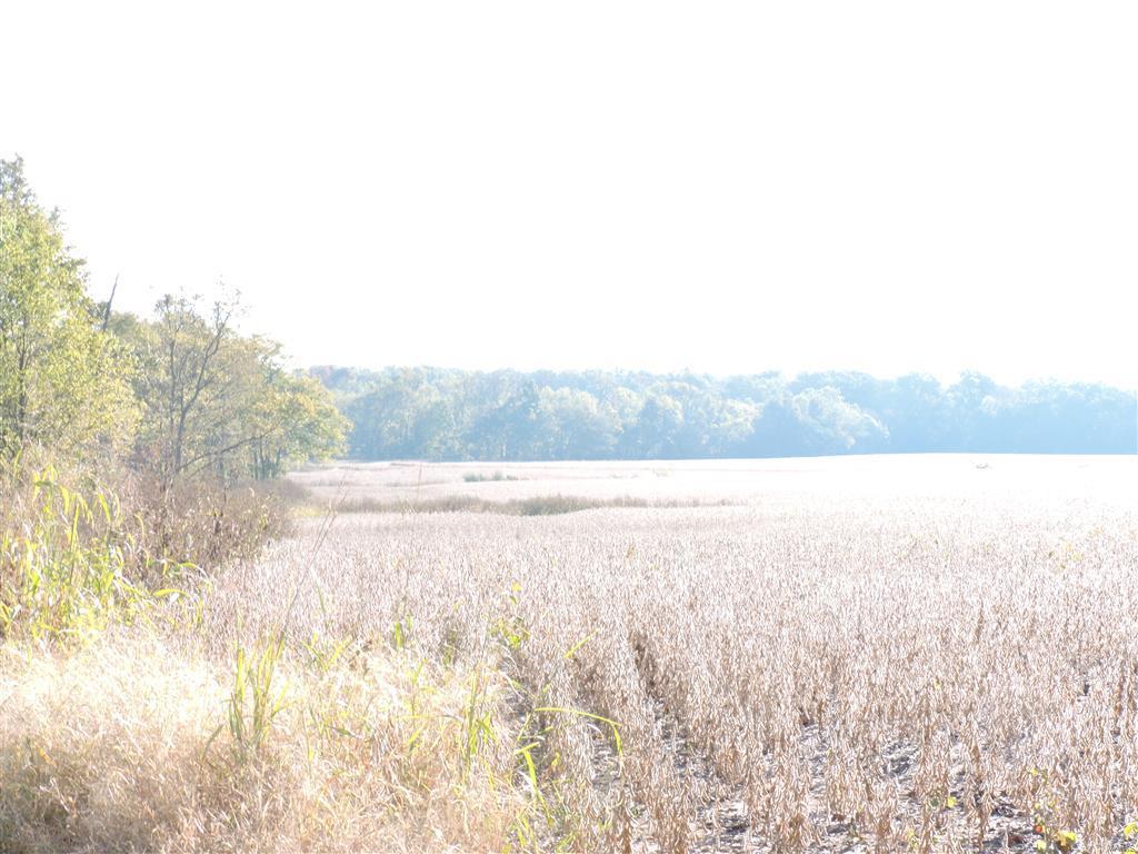 0 East Stein Road Vergennes, IL 62994 - Photo 14 of 18