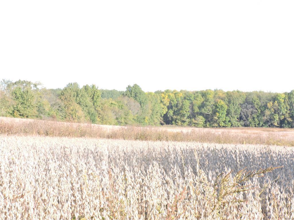 0 East Stein Road Vergennes, IL 62994 - Photo 17 of 18