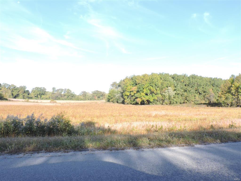 0 East Stein Road Vergennes, IL 62994 - Photo 3 of 18