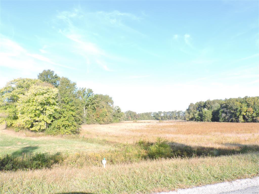 0 East Stein Road Vergennes, IL 62994 - Photo 4 of 18