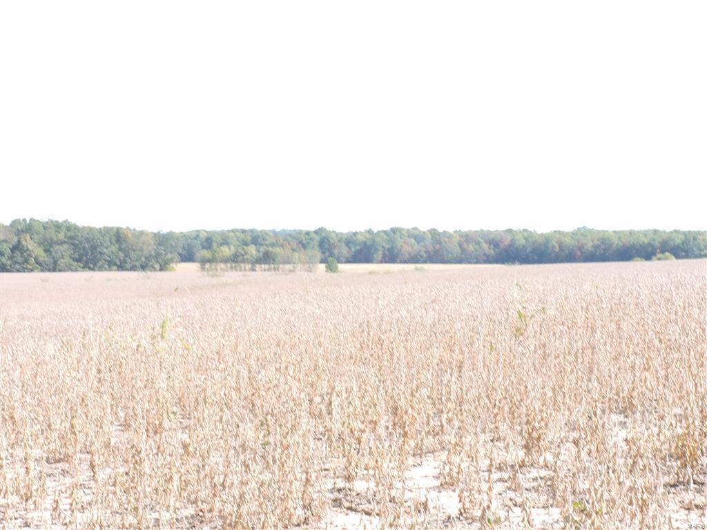 0 East Stein Road Vergennes, IL 62994 - Photo 5 of 18