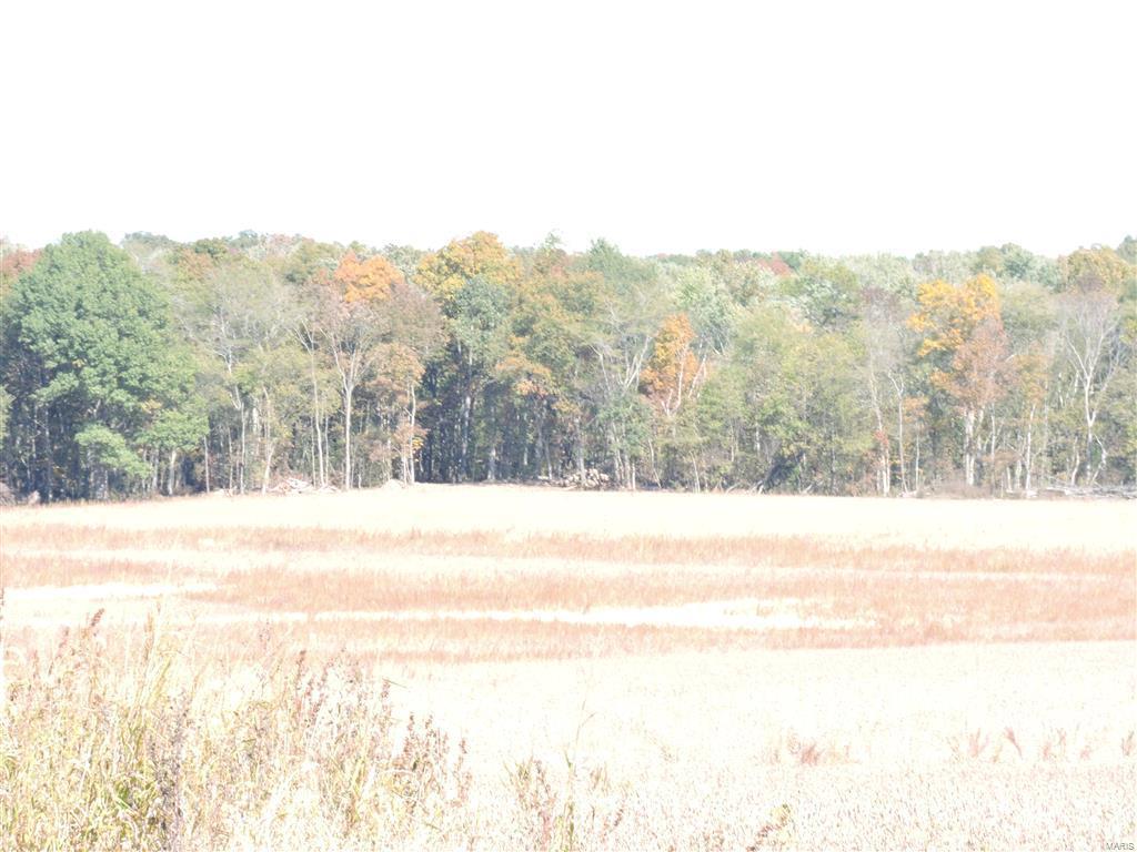 0 East Stein Road Vergennes, IL 62994 - Photo 7 of 18