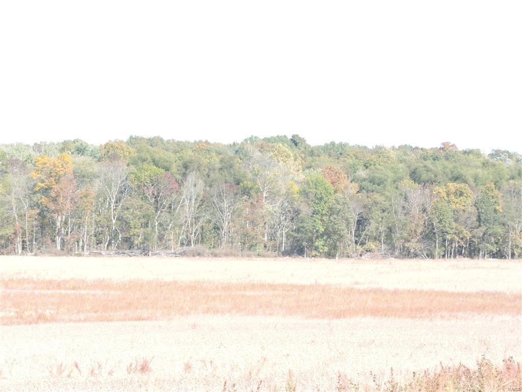 0 East Stein Road Vergennes, IL 62994 - Photo 8 of 18