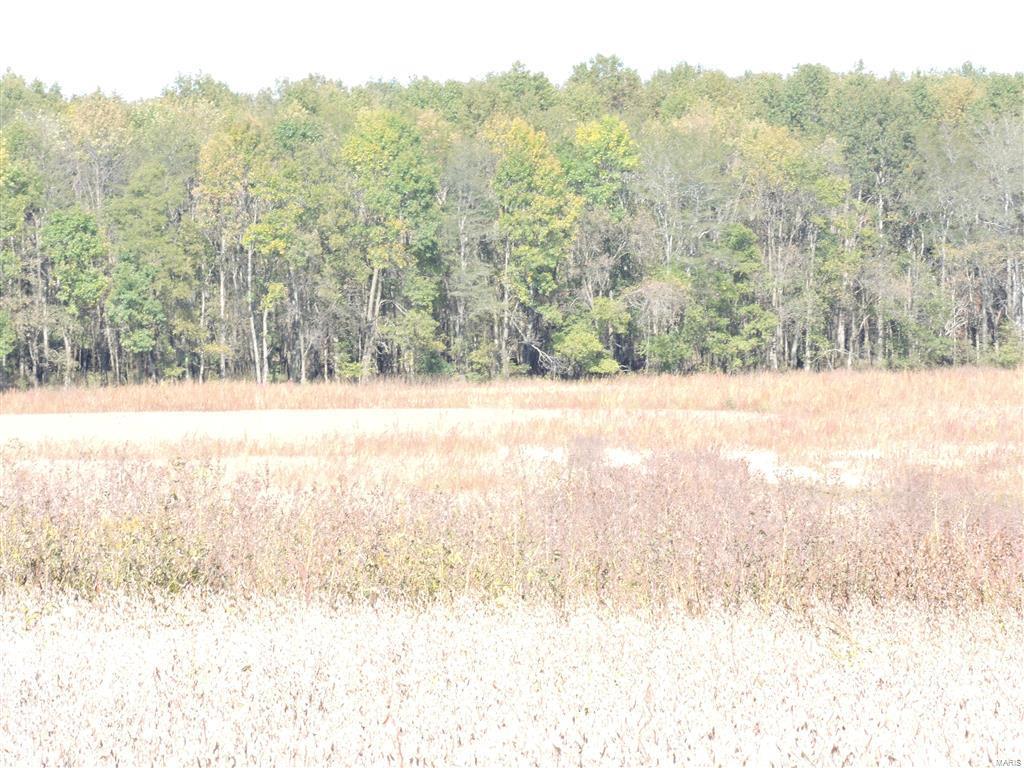 0 East Stein Road Vergennes, IL 62994 - Photo 10 of 18