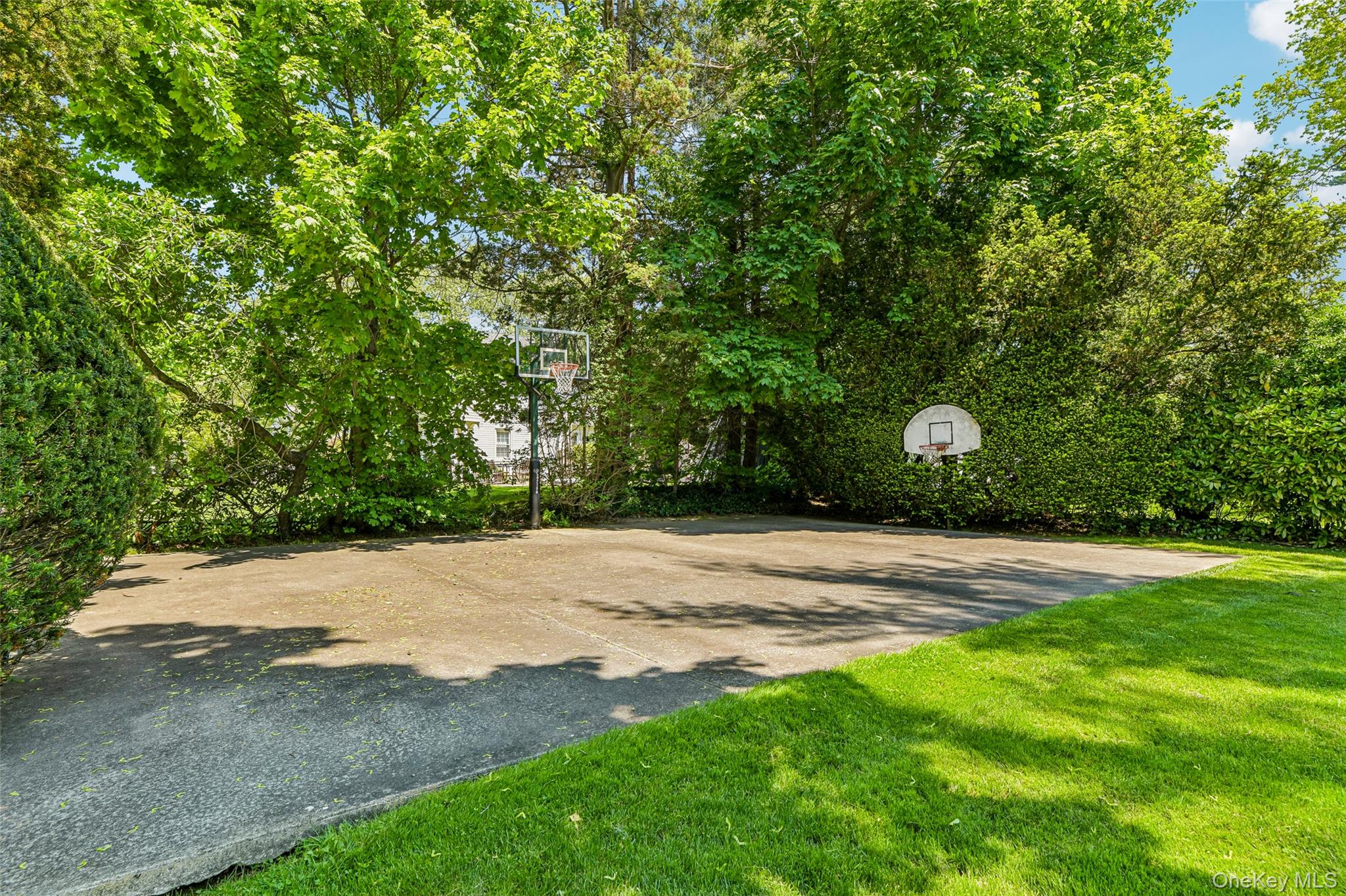 100 Hewlett Neck Road Woodmere, NY 11598 - Photo 35 of 45 a view of a yard with a tree