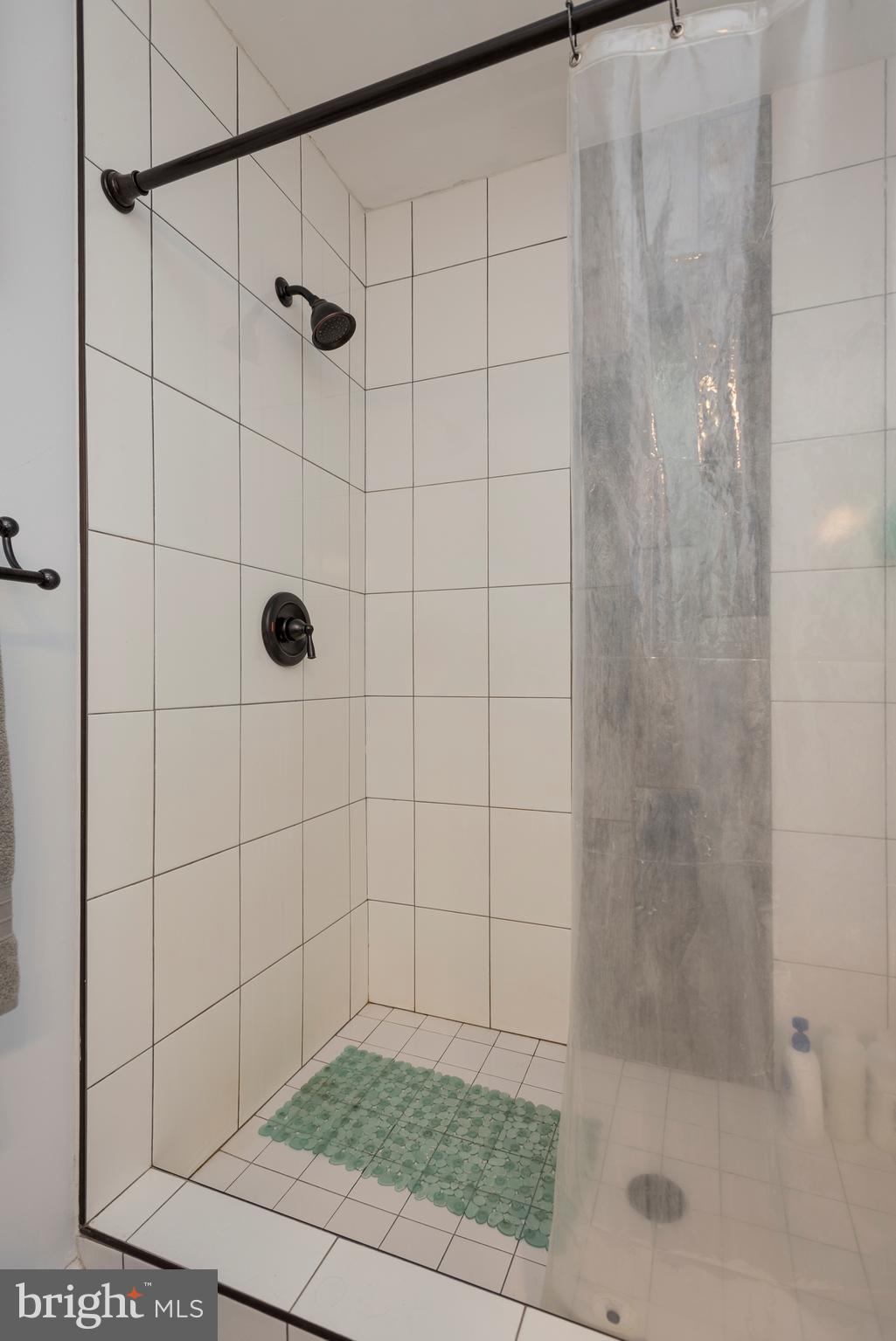9294 Rixeyville Road Culpeper, VA 22701 - Photo 24 of 31 floor to ceiling master shower
