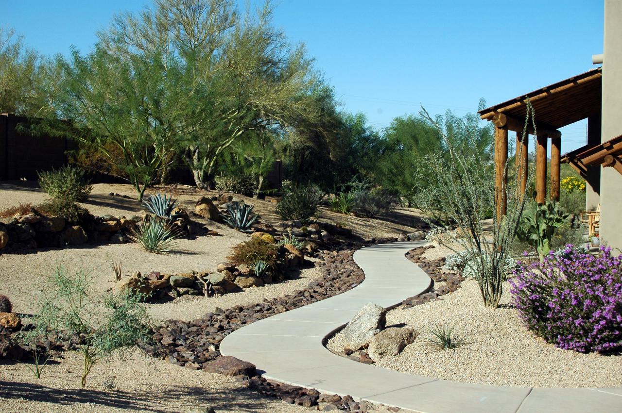 1916 East Joy Ranch Road Phoenix, AZ 85086 - Photo 13 of 14 Beautifully Landscaped