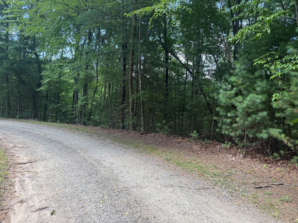 0 Guy Eller Road Murphy, NC 28906 - Photo 6 of 6