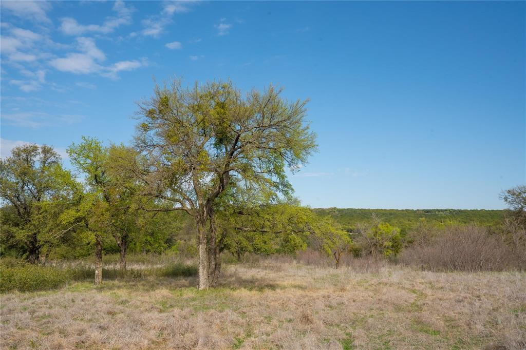 954 R Frog Branch Court Graford, TX 76449 - Photo 3 of 21 a view of a yard with an trees