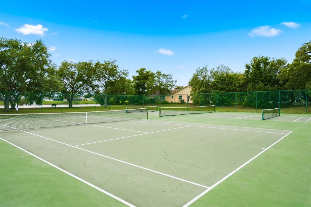 1011 Ridge Drive Palm Harbor, FL 34683 - Photo 45 of 49