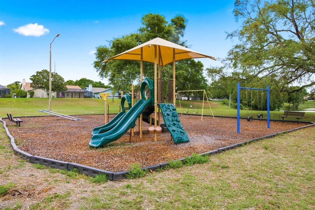 1011 Ridge Drive Palm Harbor, FL 34683 - Photo 46 of 49