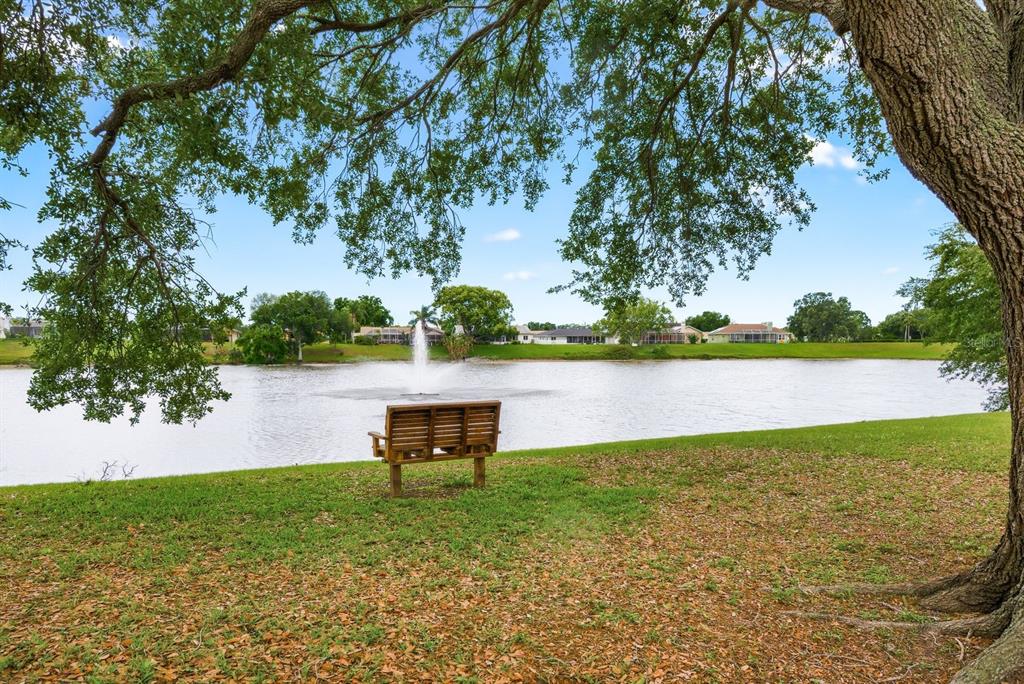 1011 Ridge Drive Palm Harbor, FL 34683 - Photo 48 of 49