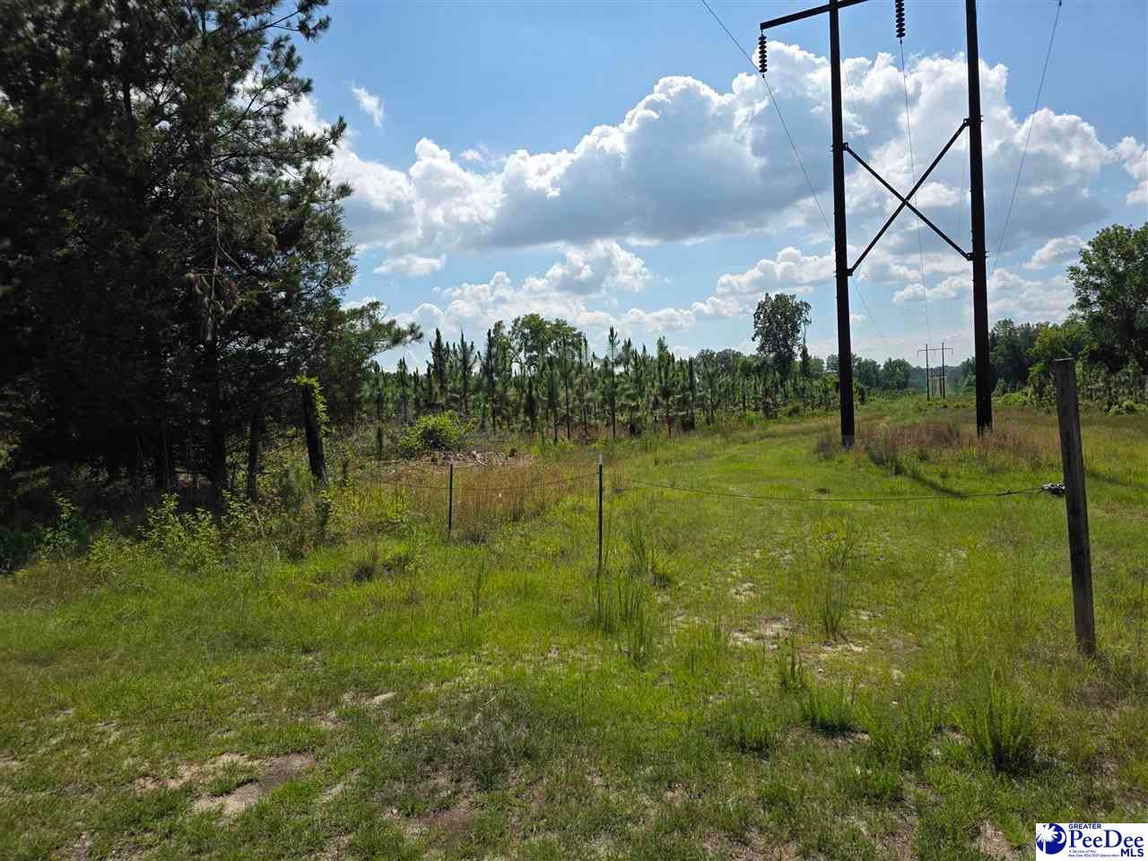 0 Hillian-Edwards Road Cheraw, SC 29520 - Photo 10 of 28 Gallery Image 10