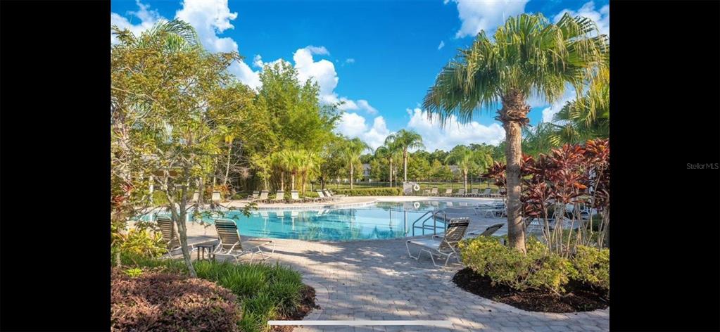 8174 Enchantment Drive, Unit 1601 Windermere, FL 34786 - Photo 19 of 21 a view of a yard