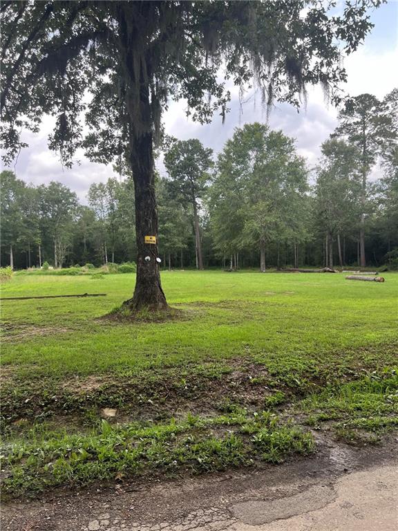 0 Tyler Cemetery Road Center Point, LA 71323 - Photo 1 of 5 Gallery Image 1