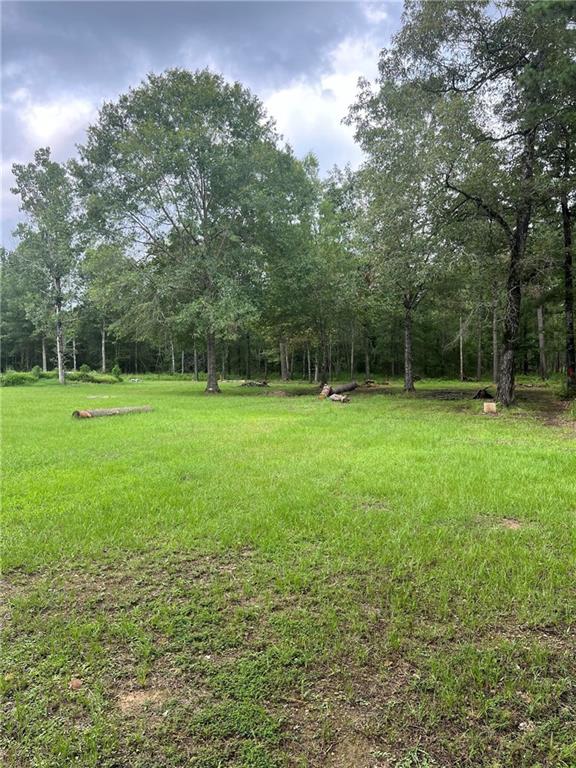 0 Tyler Cemetery Road Center Point, LA 71323 - Photo 2 of 5 Gallery Image 2