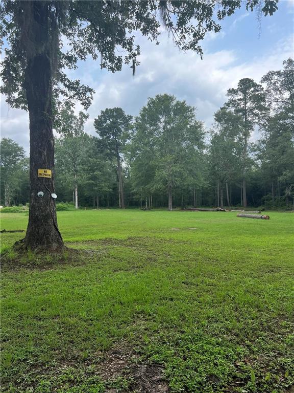 0 Tyler Cemetery Road Center Point, LA 71323 - Photo 3 of 5 Gallery Image 3