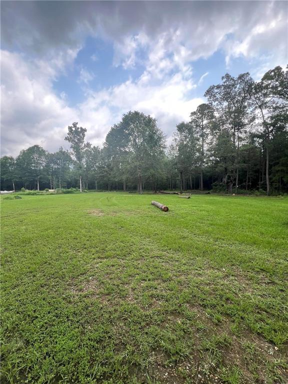 0 Tyler Cemetery Road Center Point, LA 71323 - Photo 4 of 5 Gallery Image 4