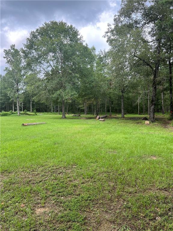 0 Tyler Cemetery Road Center Point, LA 71323 - Photo 5 of 5 Gallery Image 5