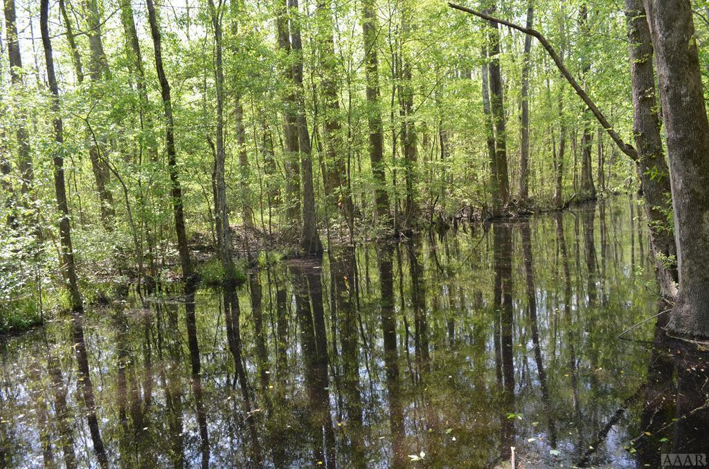 389 Guinea Road Moyock, NC 27958 - Photo 7 of 32