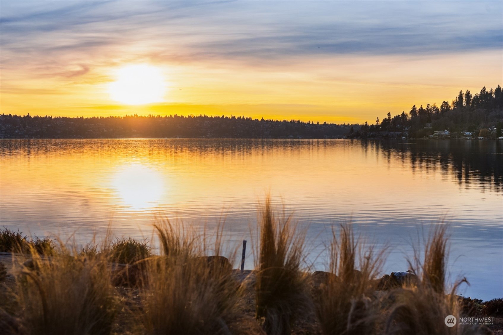 1019 North 42nd Place Renton, WA 98056 - Photo 29 of 33 a view of a lake from a yard