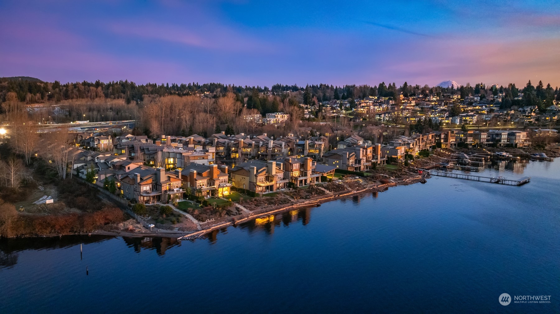 1019 North 42nd Place Renton, WA 98056 - Photo 30 of 33 a view of a city