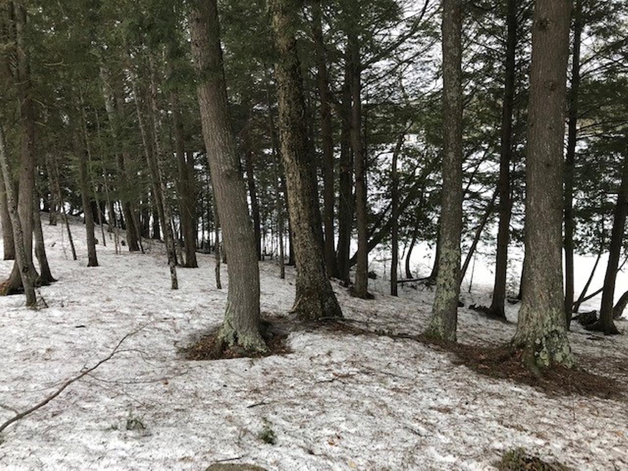 On Beatons Lake Road, Unit LOT 8 Watersmeet, MI 49969 - Photo 11 of 16 Gallery Image 11