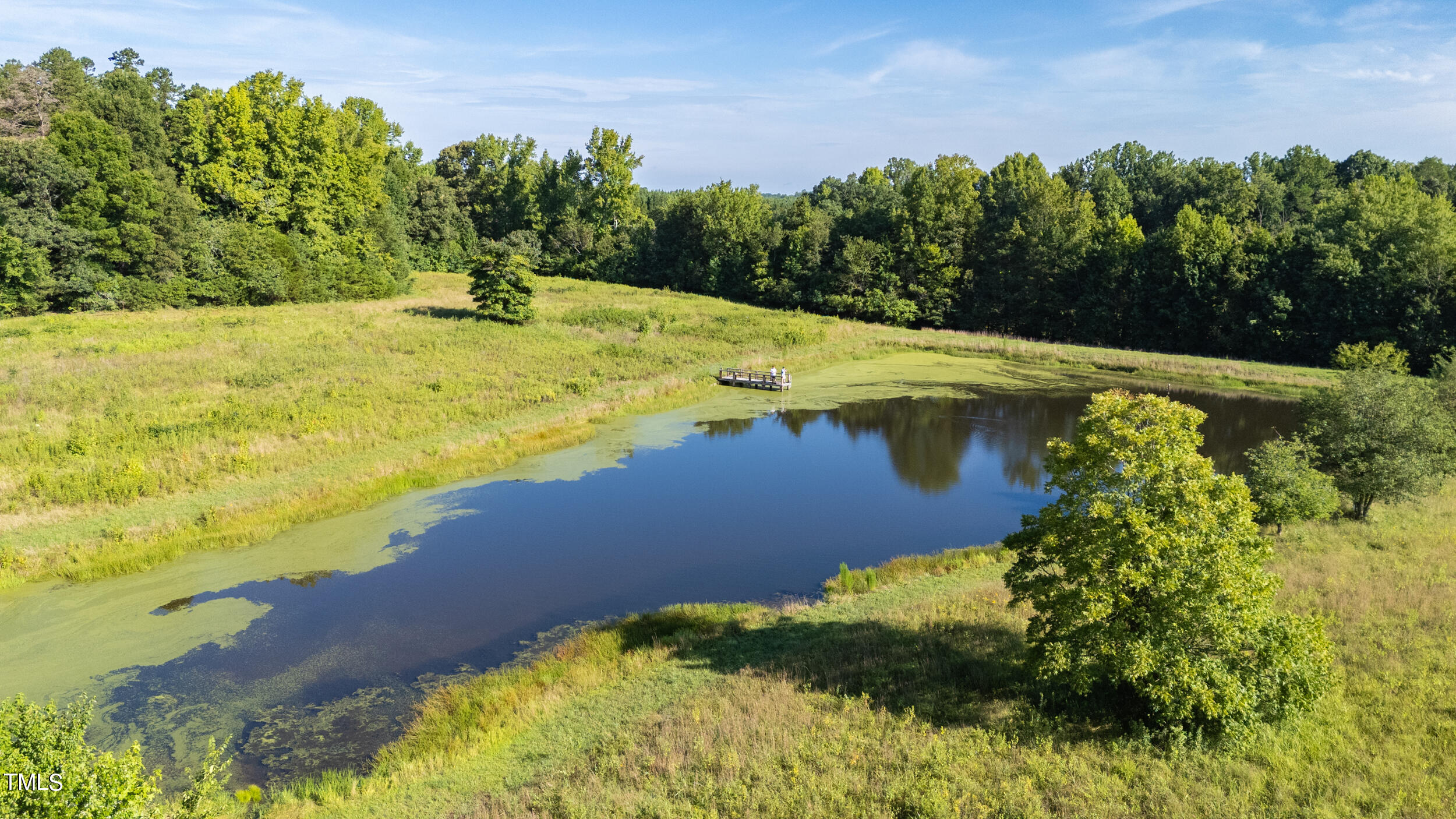 6390 Lineberry Road Liberty, NC 27298 - Photo 14 of 17 Liberty LOT-110223-Drone-13