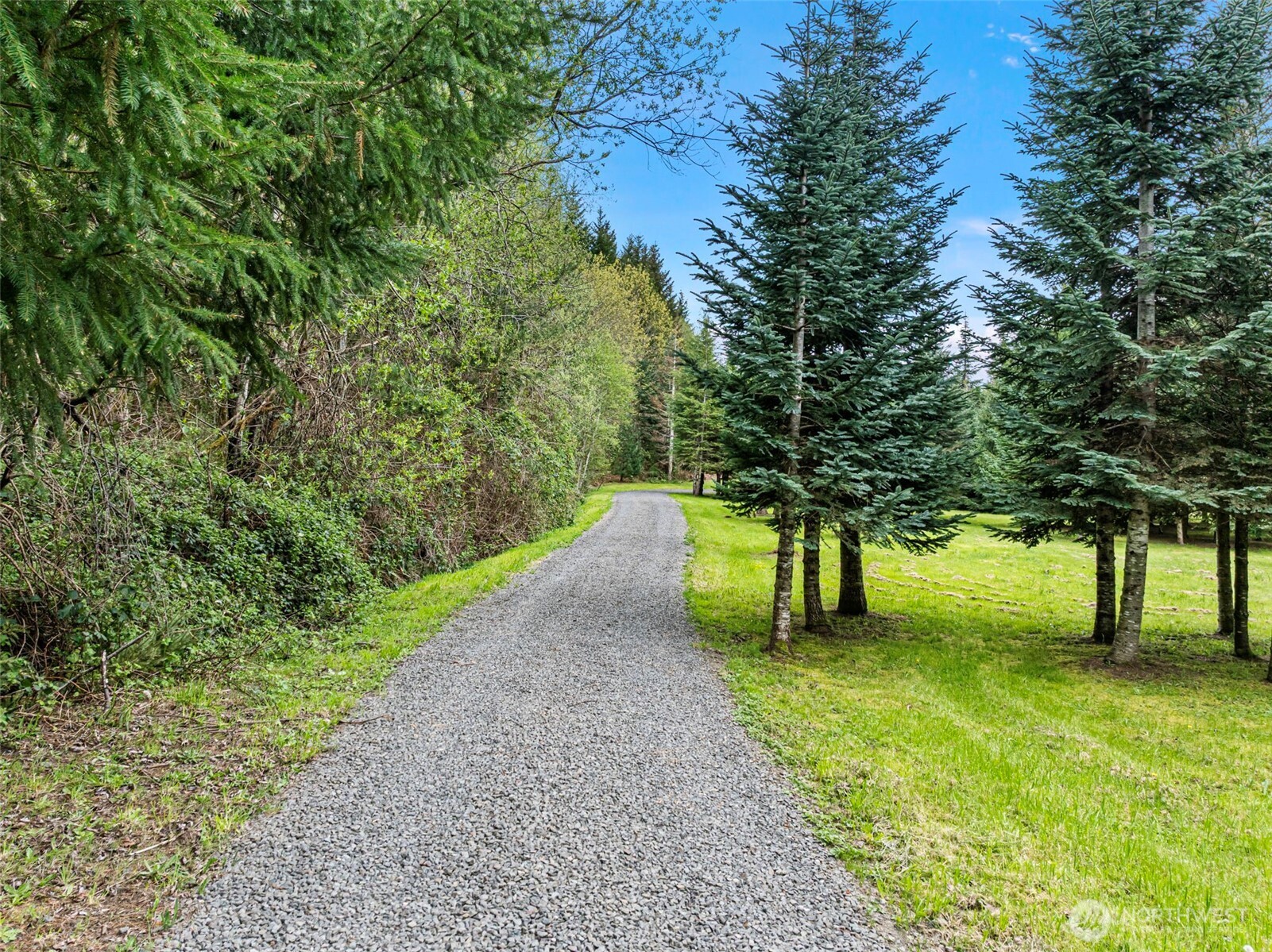 9611 West Belfair Valley Road Bremerton, WA 98312 - Photo 3 of 40 a view of a backyard