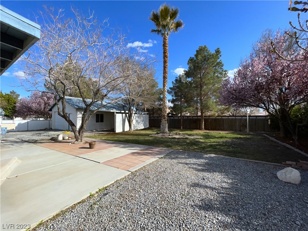 541 West Painted Trails Road Pahrump, NV 89060 - Photo 19 of 22